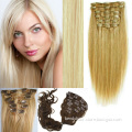 Clip-in Remy Human Hair Extensions (BD-11092601)